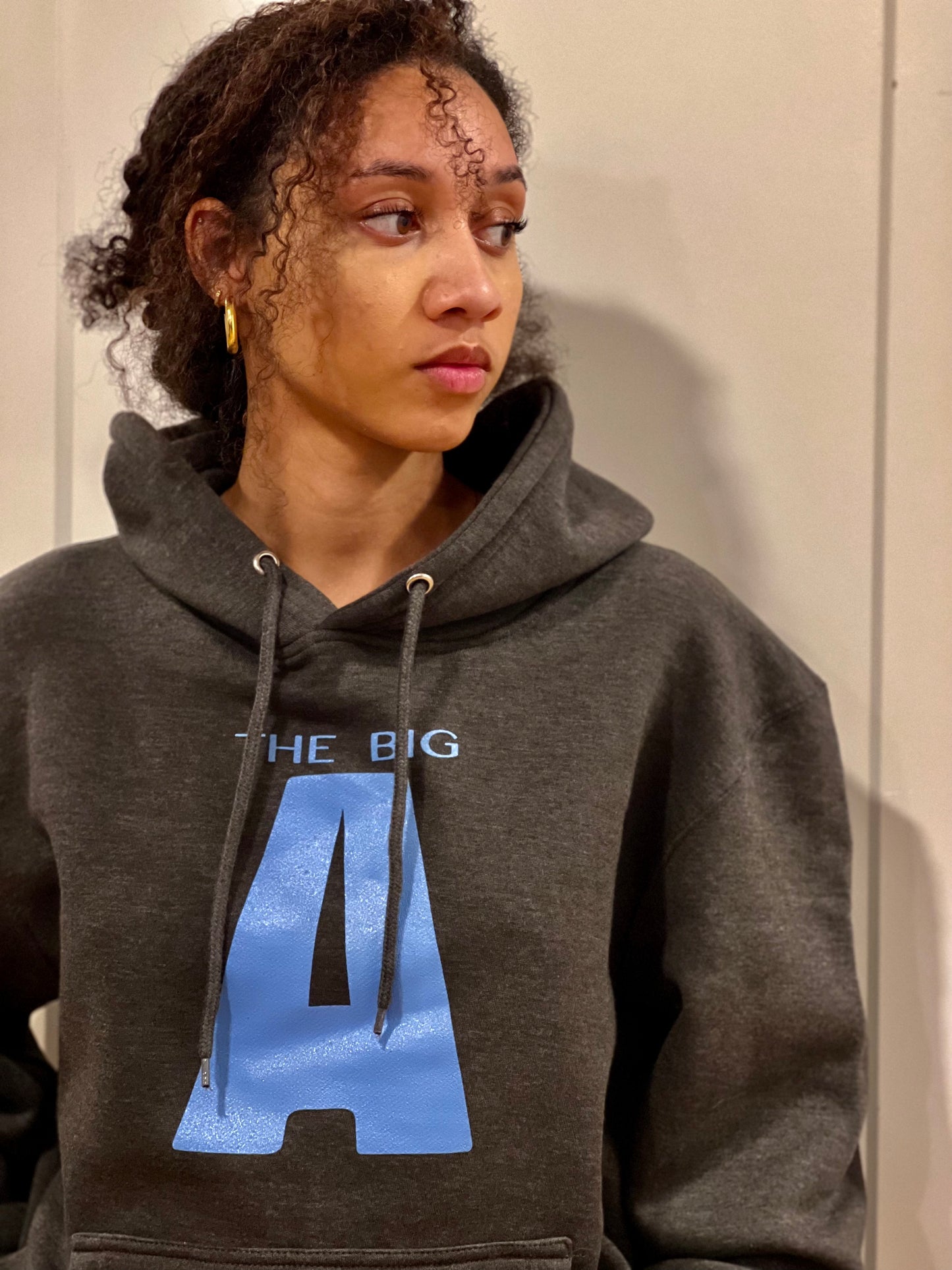 Mount Agamenticus Ski Sweatshirt